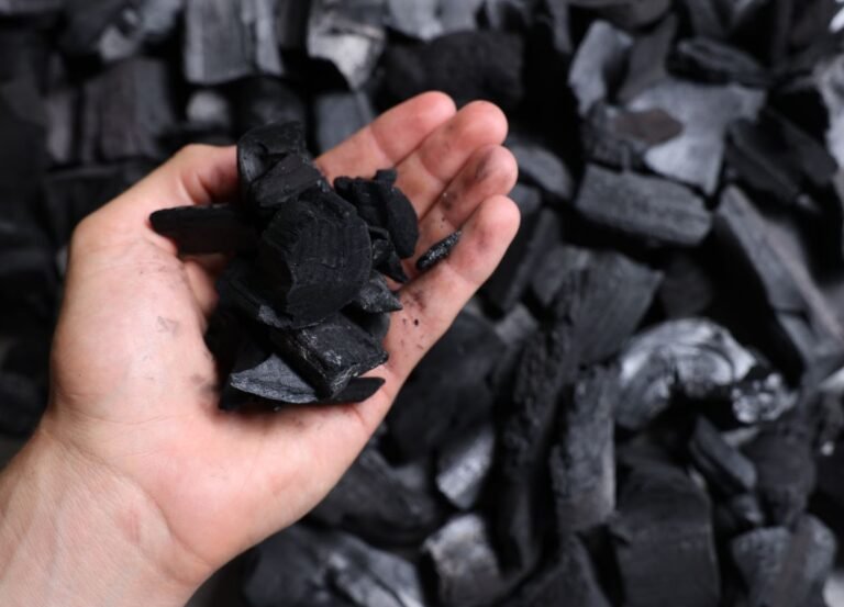 Jepang Nilai Batu Bara Masih Penting dalam Transisi Energi ASEAN