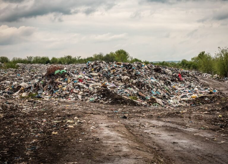 Kebakaran TPA Jatiwaringin Jadi Sorotan, Open Dumping Dinilai Harus Segera Dihentikan