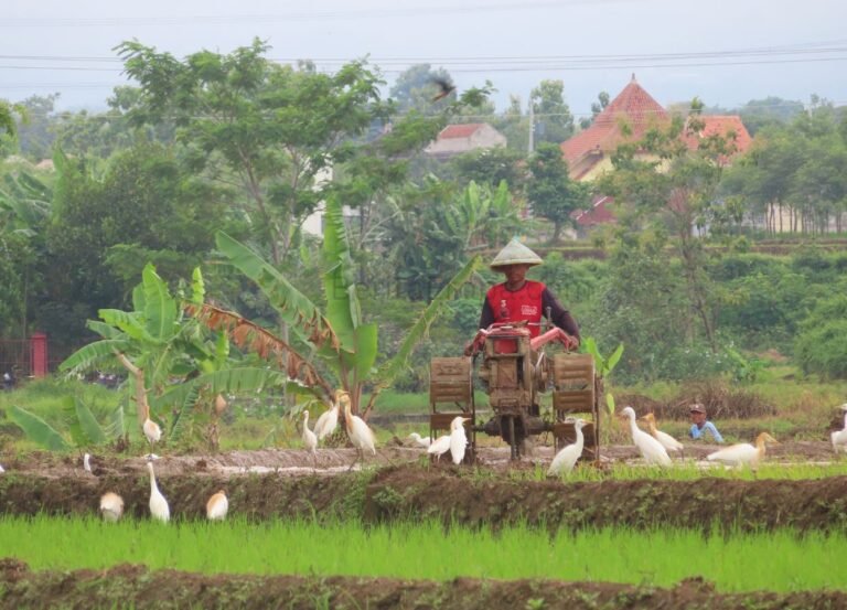 Mentan Amran Serahkan Traktor untuk Dukung Modernisasi Pertanian Semarang