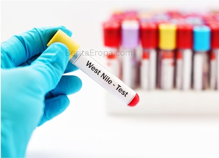 Kasus West Nile di Belanda Capai 18, Tiga Orang Meninggal
